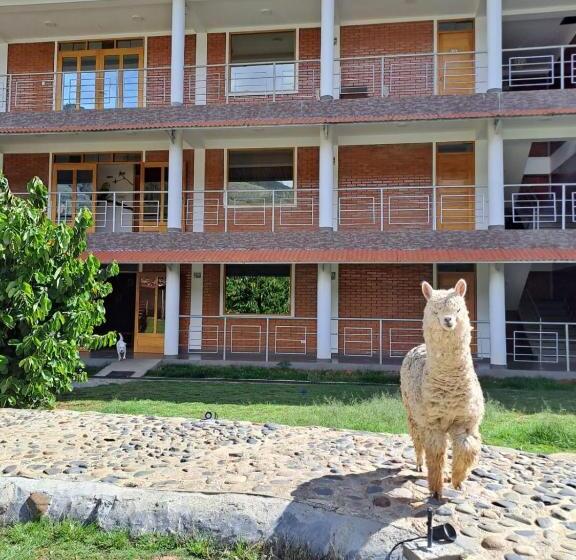 هاستل Runaway Eco