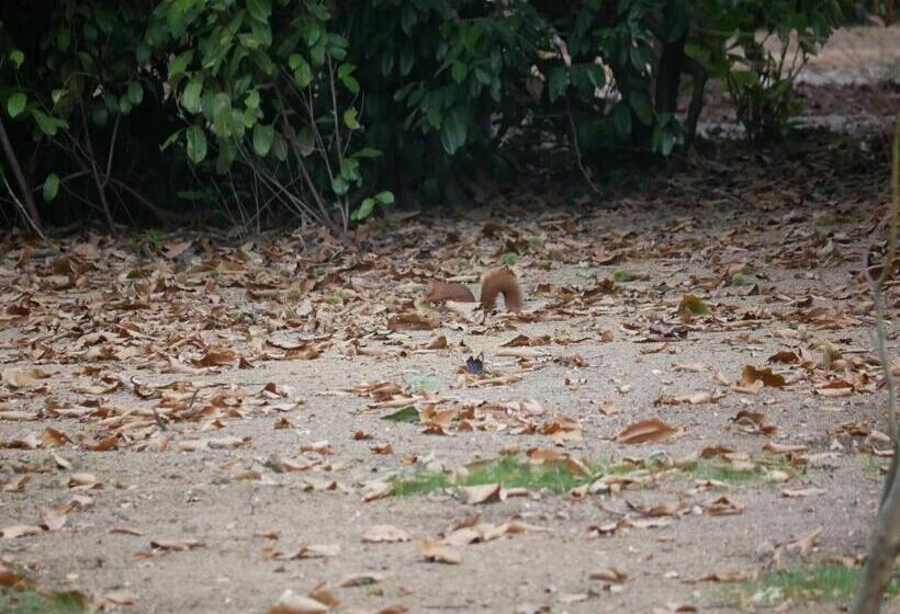 민박 Kastellren Rennes Grand Parking Privé