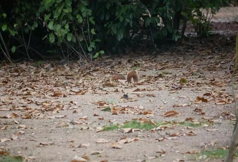 Aamiaismajoitus (B&B) Kastellren   Rennes   Grand Parking Privé