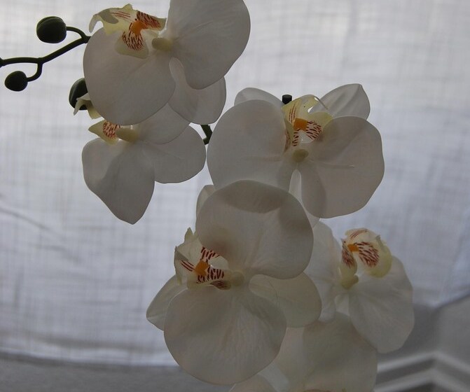 Bed and Breakfast La Villa Gautherin