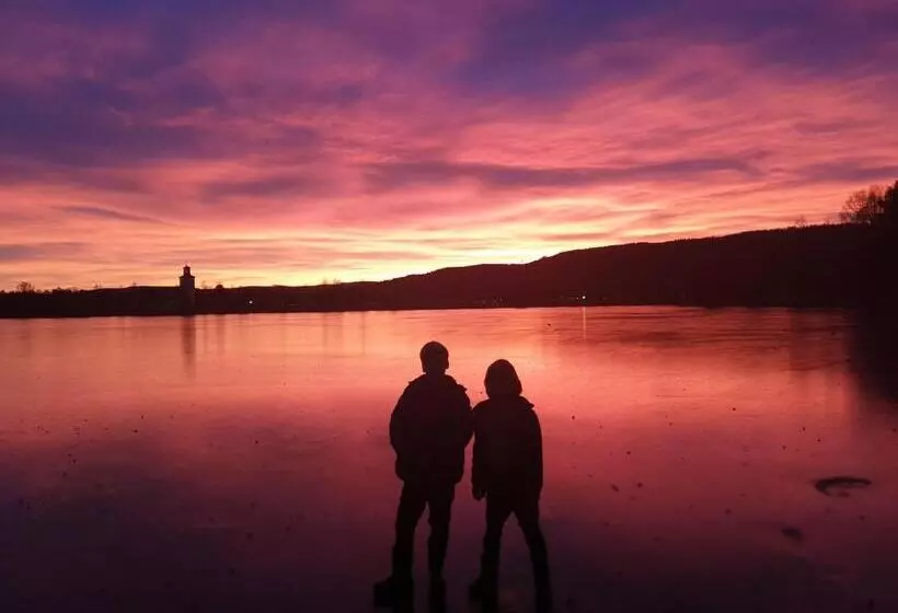 Hostel And Vandrarhem Lupin Naturcamping Lagom
