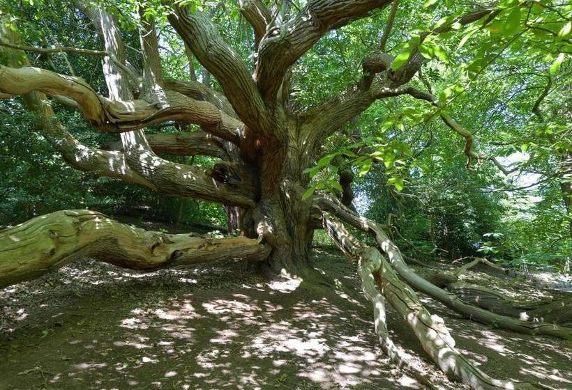 Kateshill House Bed & Breakfast