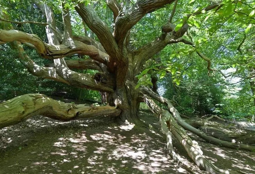 Kateshill House Bed & Breakfast