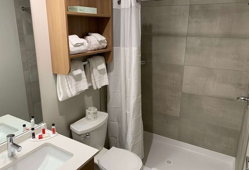 Microtel Inn & Suites By Wyndham Georgetown Lake