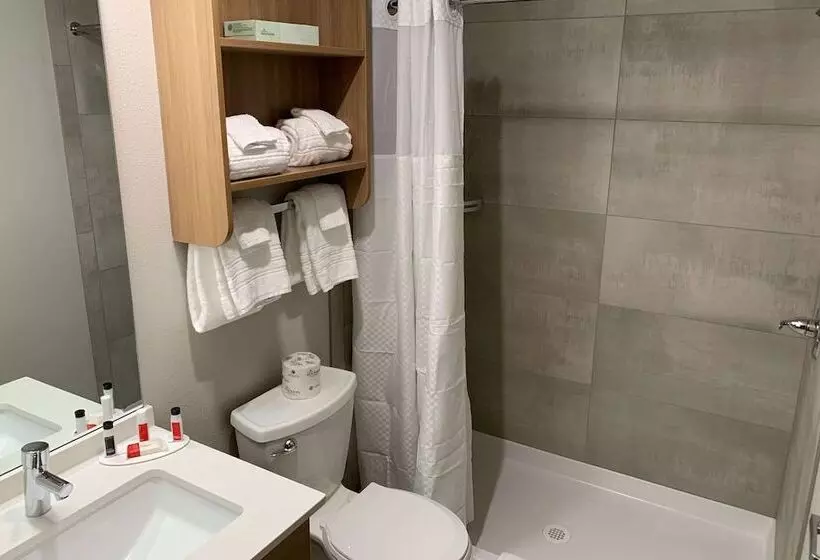 Microtel Inn & Suites By Wyndham Georgetown Lake