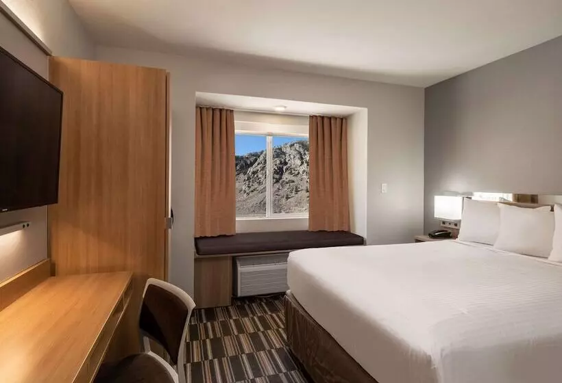 Microtel Inn & Suites By Wyndham Georgetown Lake