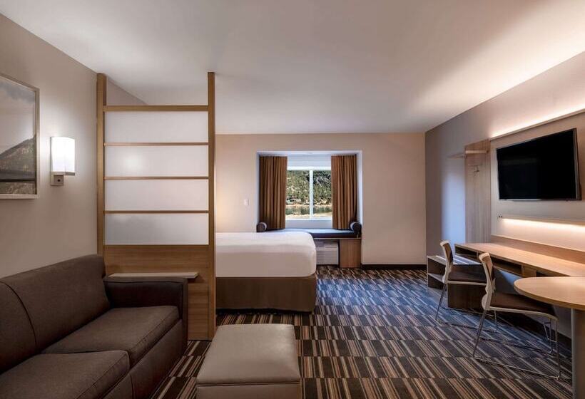 Microtel Inn & Suites By Wyndham Georgetown Lake