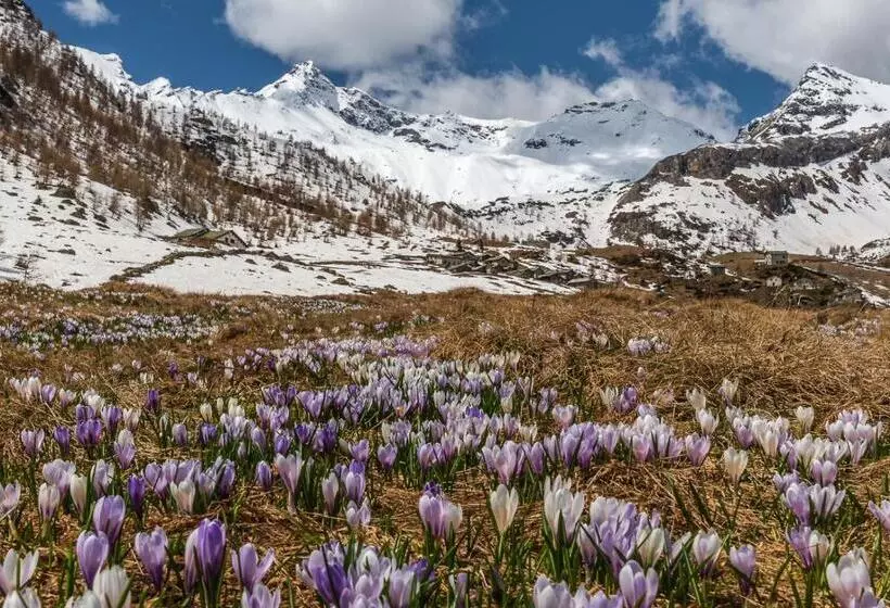 Majatalo Belcolle, Il Bello Della Tranquillità