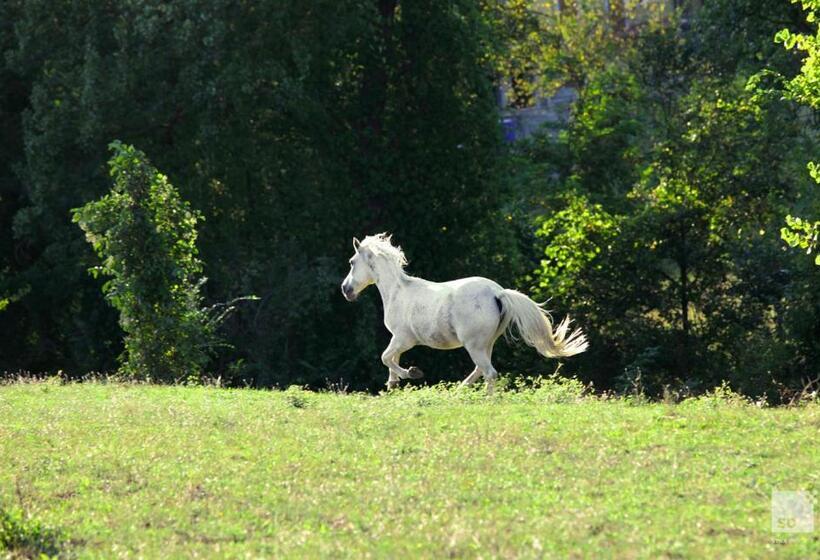 בית מלון כפרי Locanda Dei Cinque Cerri