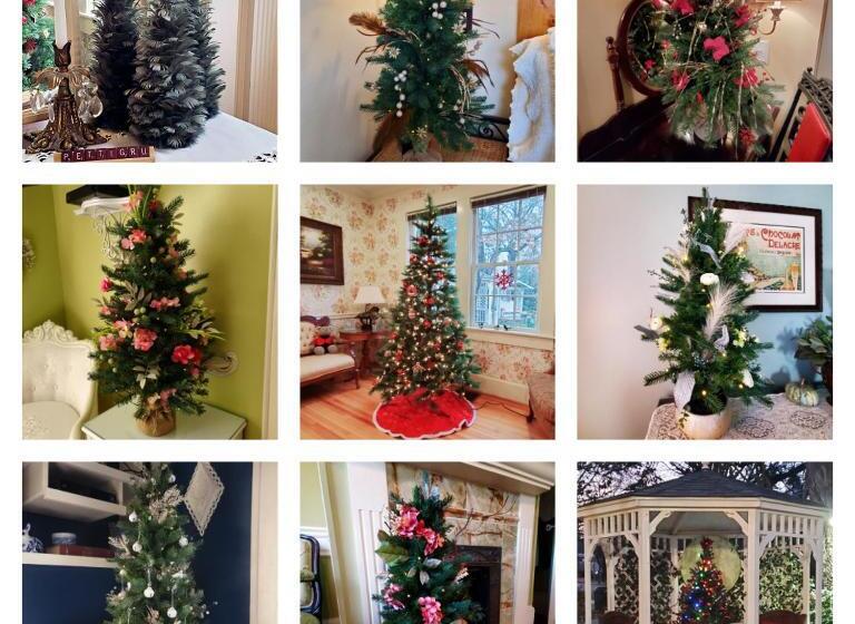 فندق Pettigru Place Bed & Breakfast