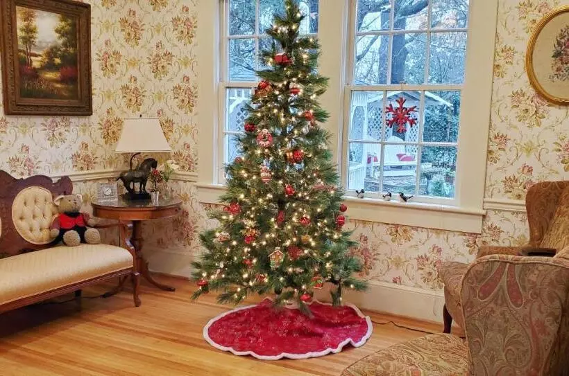 هتل Pettigru Place Bed & Breakfast