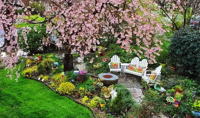 هتل Pettigru Place Bed & Breakfast