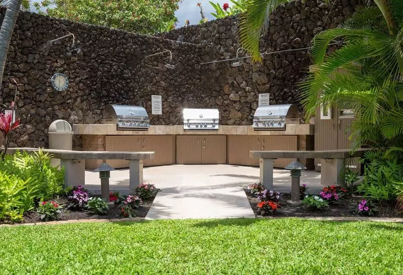 Hotel Polo Beach Club   Coraltree Residence Collection