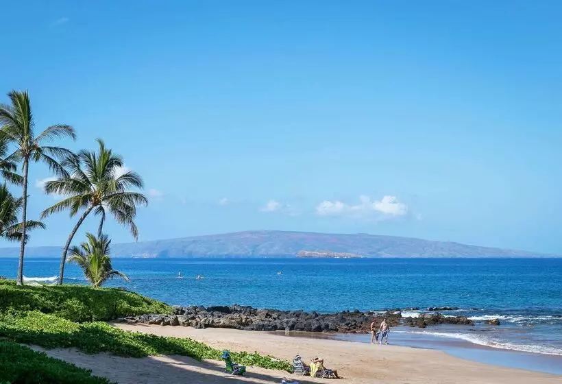 Hotel Polo Beach Club   Coraltree Residence Collection