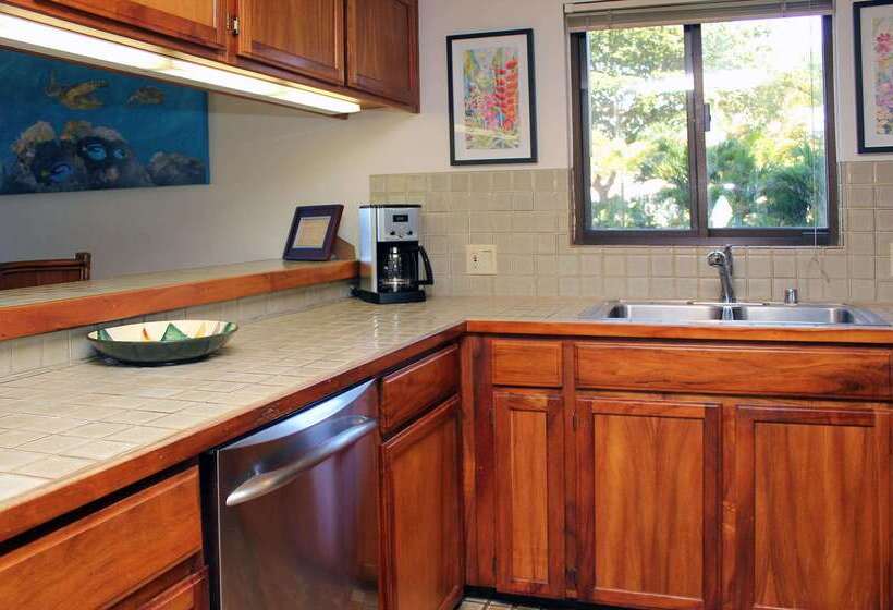 Отель Polo Beach Club   Coraltree Residence Collection