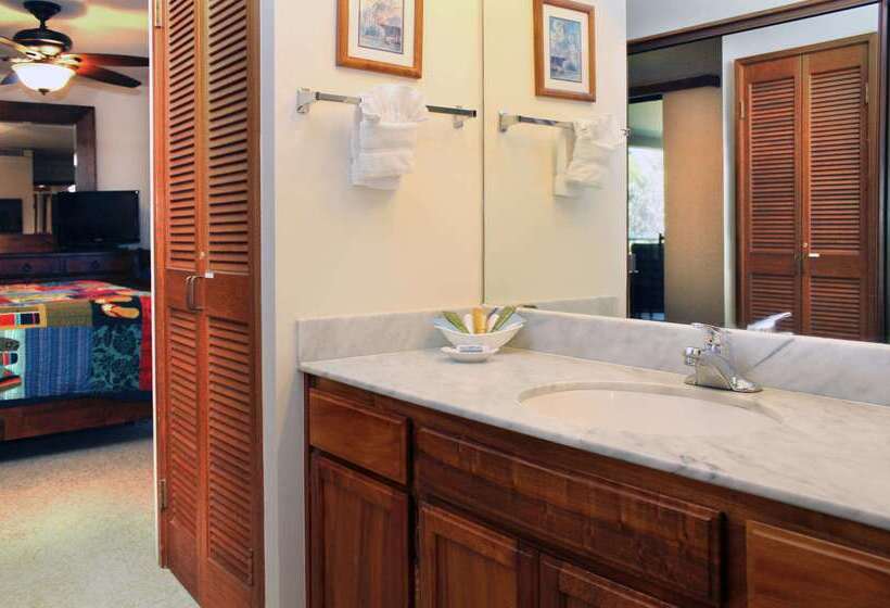 Отель Polo Beach Club   Coraltree Residence Collection