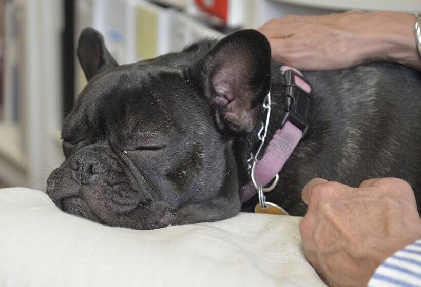 فندق The Great Falls Inn By Riversage