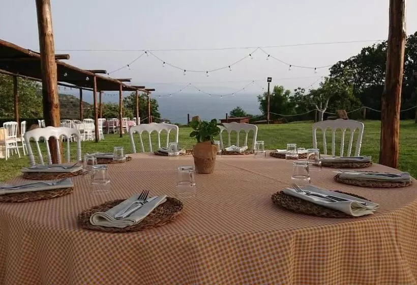 Sunshine Hotel & Spa