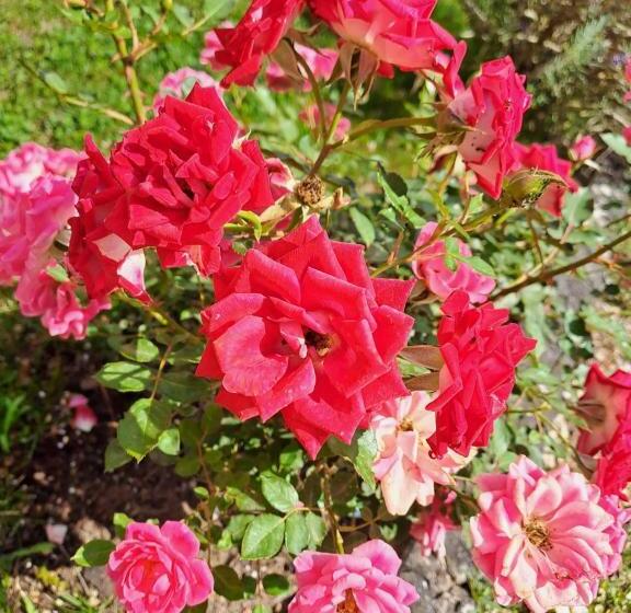 פנסיון Affittacamere Il Tiro A Segno