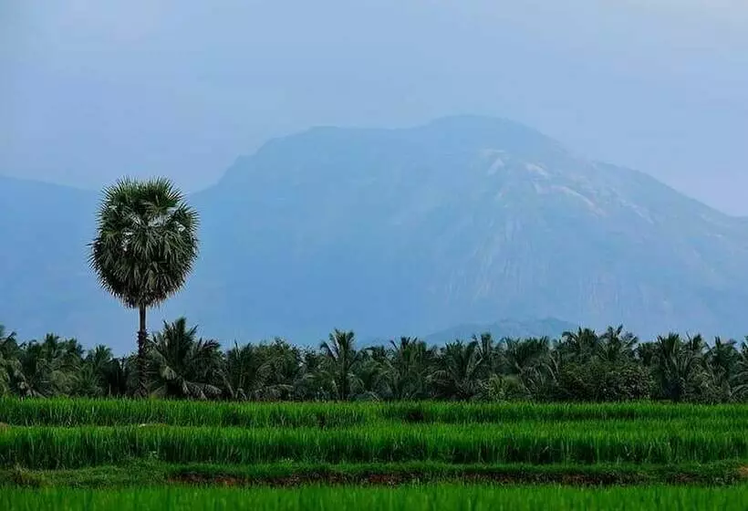 Majatalo Royal Cottage, Anaimalai Room 5