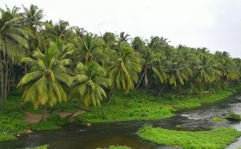 Majatalo Royal Cottage, Anaimalai Room 5