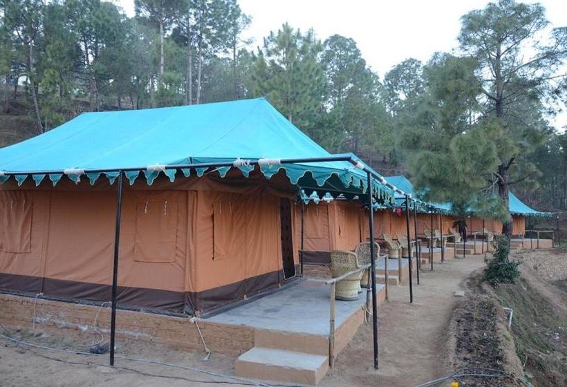 Bay Berry Camp & Resort