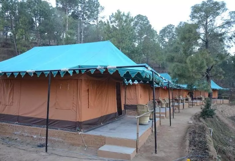 Bay Berry Camp & Resort
