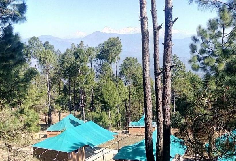 Bay Berry Camp & Resort