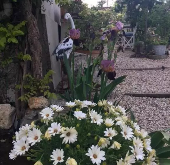 Aamiaismajoitus (B&B) Chez Brown