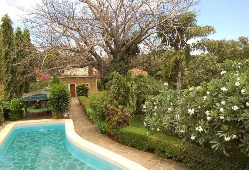 تختخواب و صبحانه Joysvilla Family Holiday Home