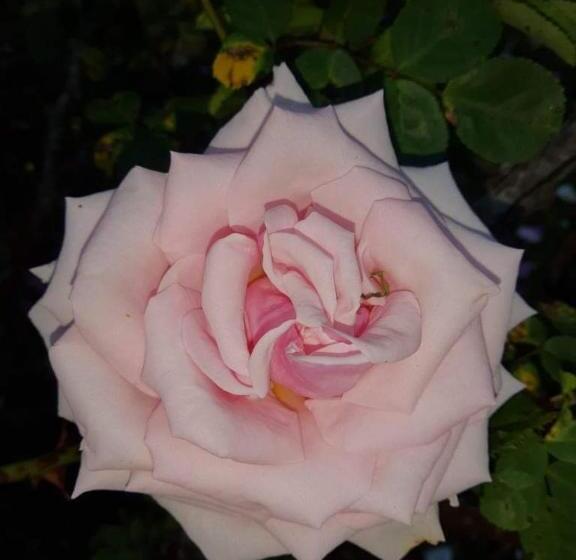 住宿加早餐  Kilmahon House, P25a973