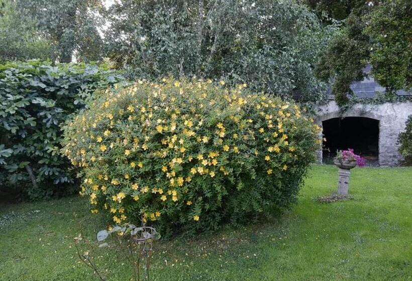 住宿加早餐  Kilmahon House, P25a973