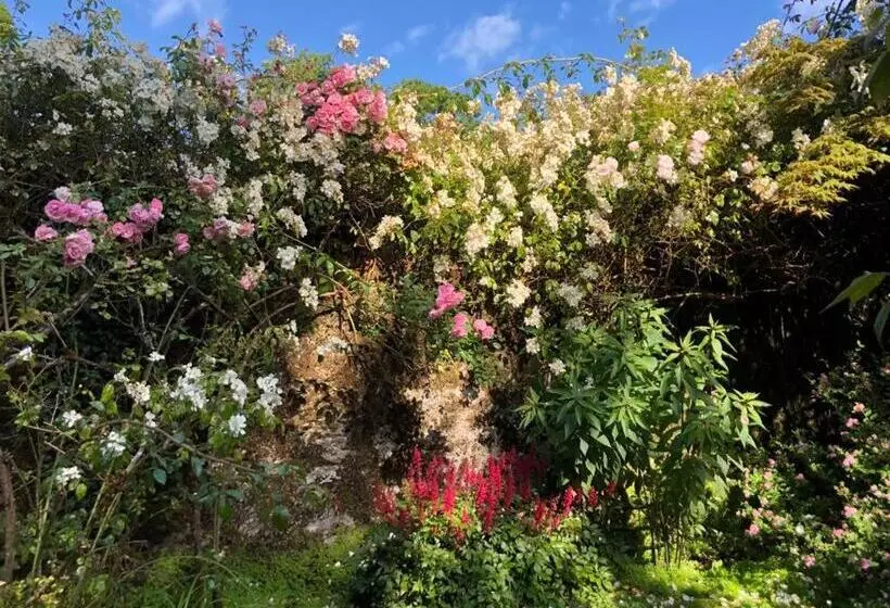 ベッドアンドブレックファースト Kilmahon House, P25a973