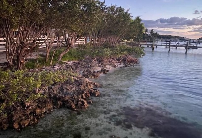 Отель Bahia Bay Resort