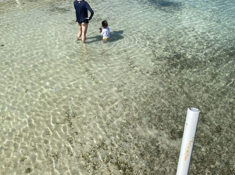 Отель Bahia Bay Resort