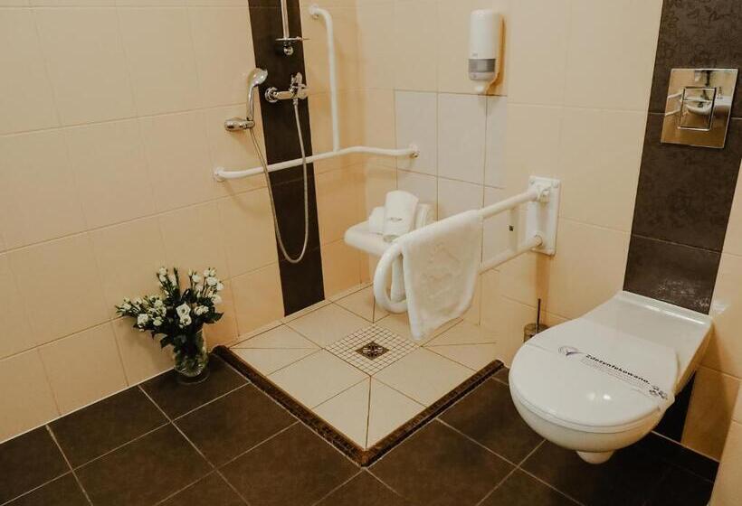 בית מלון כפרי Delfin Spa&wellness