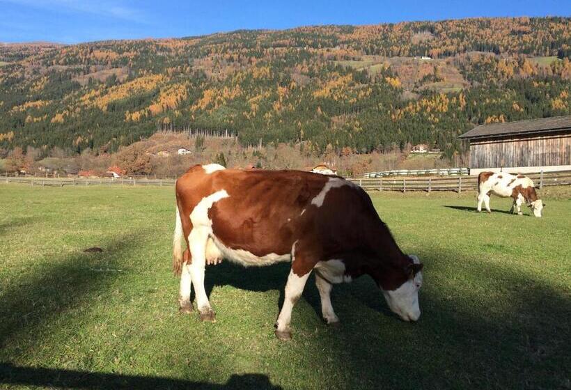 호텔 Locus Malontina