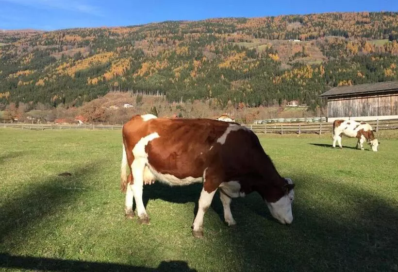 Hotelli Locus Malontina