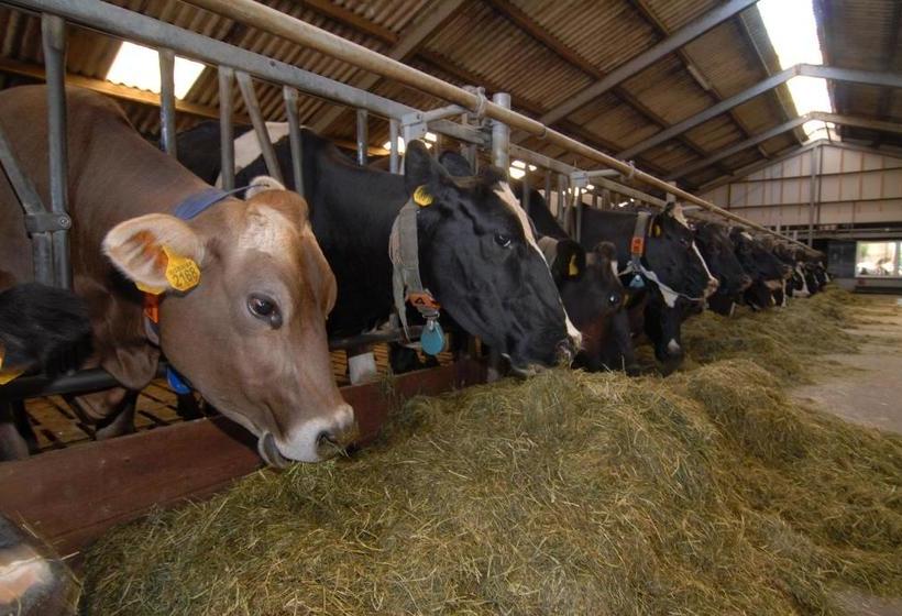 펜션 Farm Overleekerhoeve