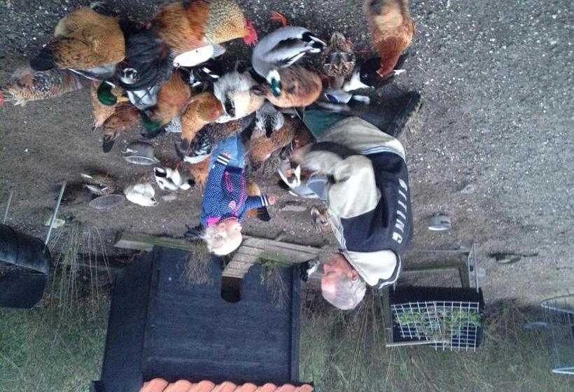 펜션 Farm Overleekerhoeve