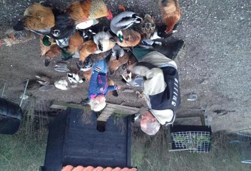 Majatalo Farm Overleekerhoeve