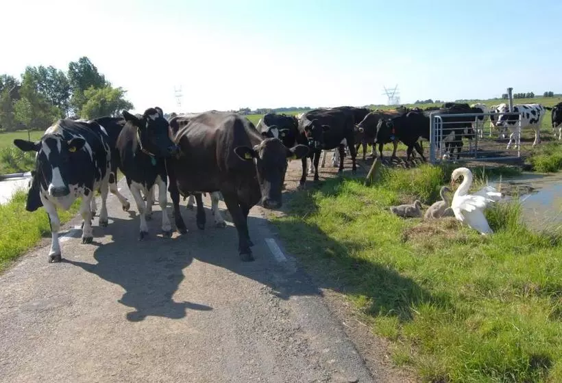 Majatalo Farm Overleekerhoeve
