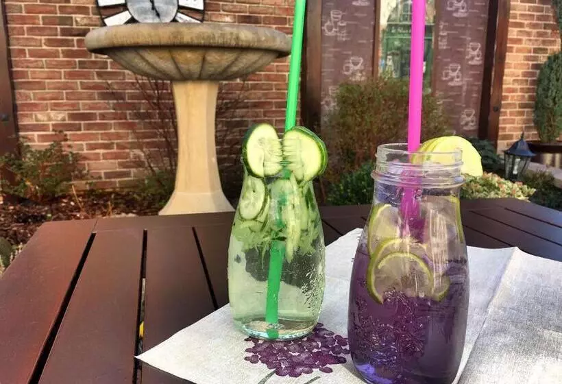 ペンション Penzion Bily Beranek