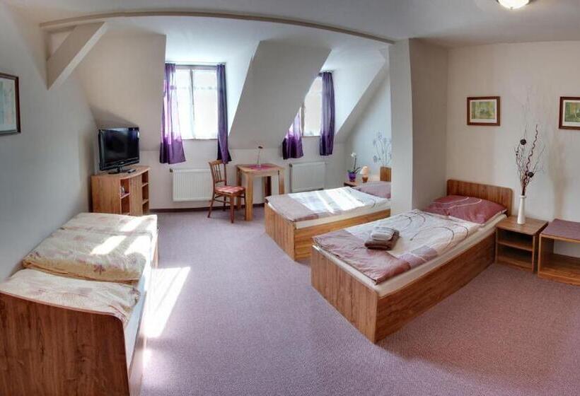 膳宿费 Penzion Bily Beranek