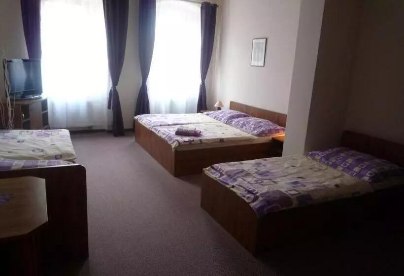 ペンション Penzion Bily Beranek