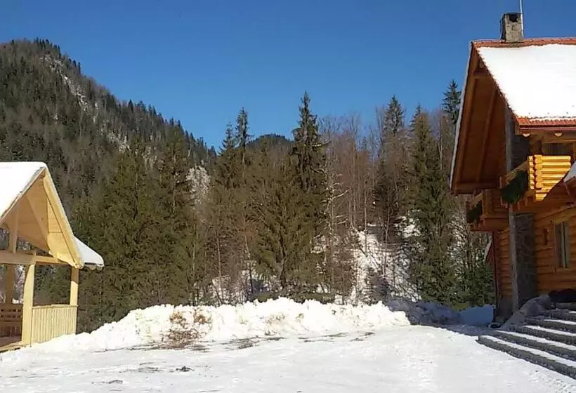 Pensiunea Izbucul Tauz