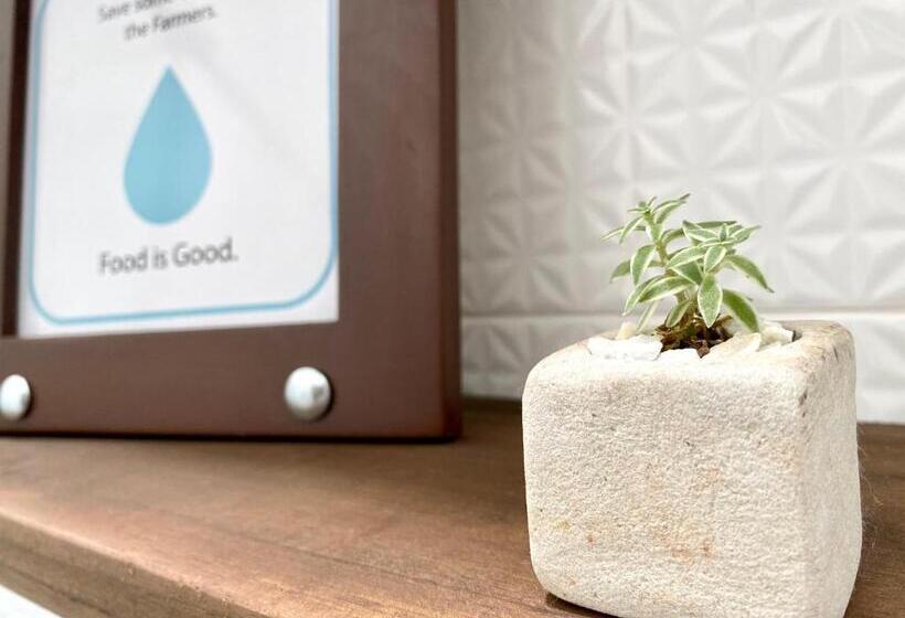 تختخواب و صبحانه Casa Chevere Hostel Boutique