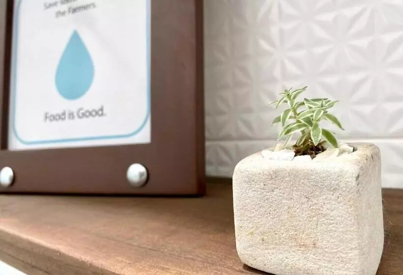 ベッドアンドブレックファースト Casa Chevere Hostel Boutique