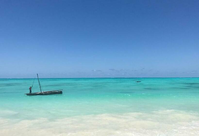 پانسیون Iddi House