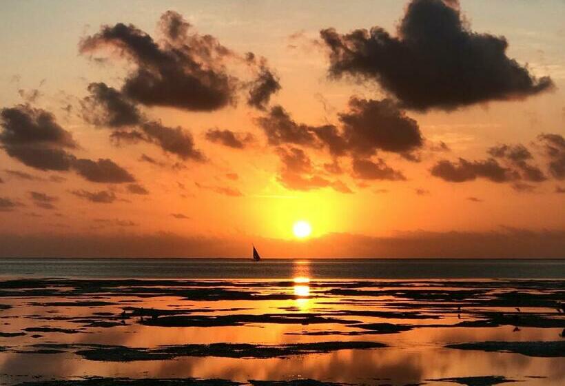 پانسیون Iddi House